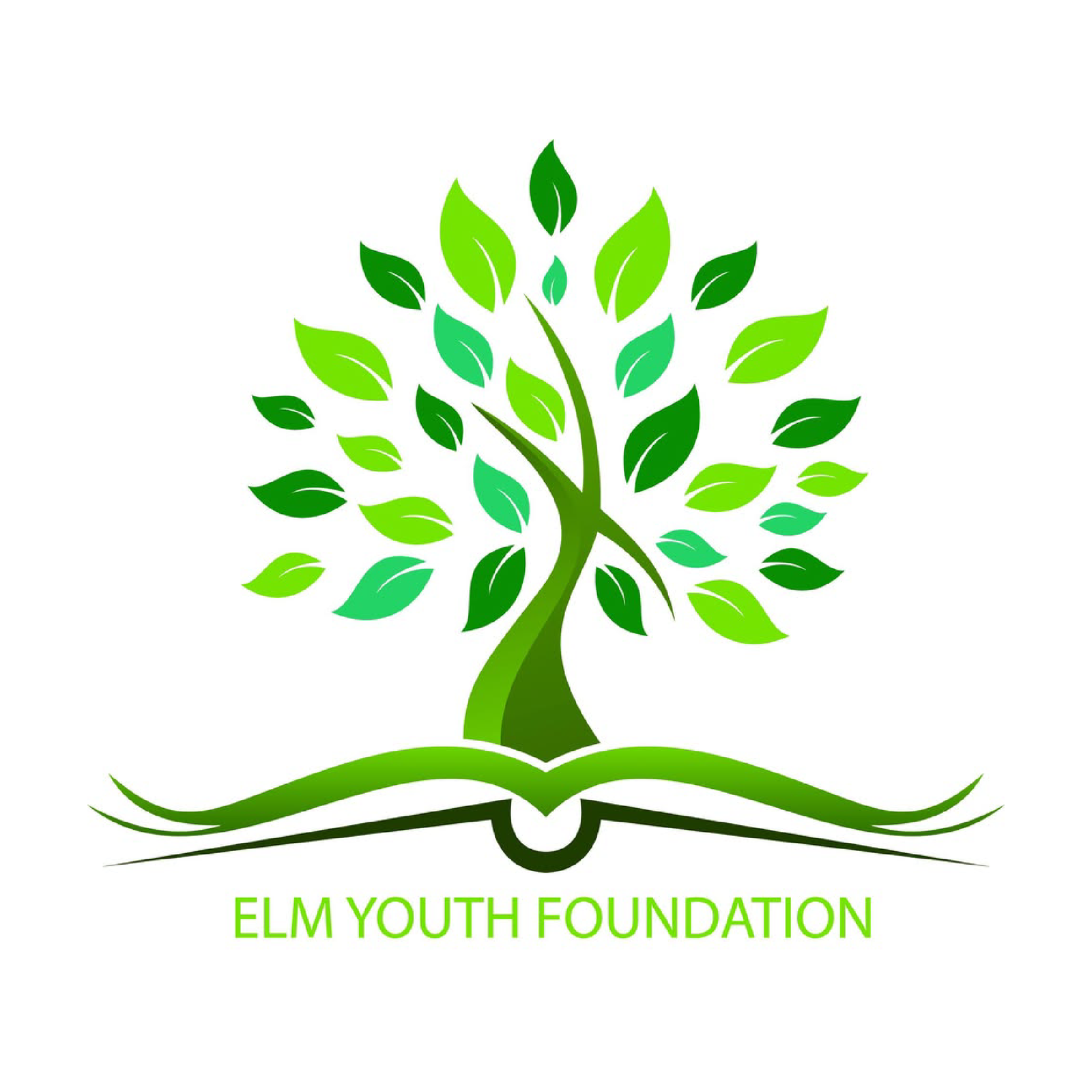 ELM Youth Foundation  Logo